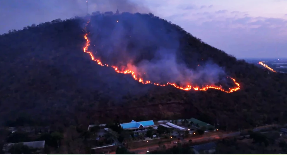 Militer Thailand Bantu Atasi Karhutla Ancam Taman Burung Terbesar di Asia
